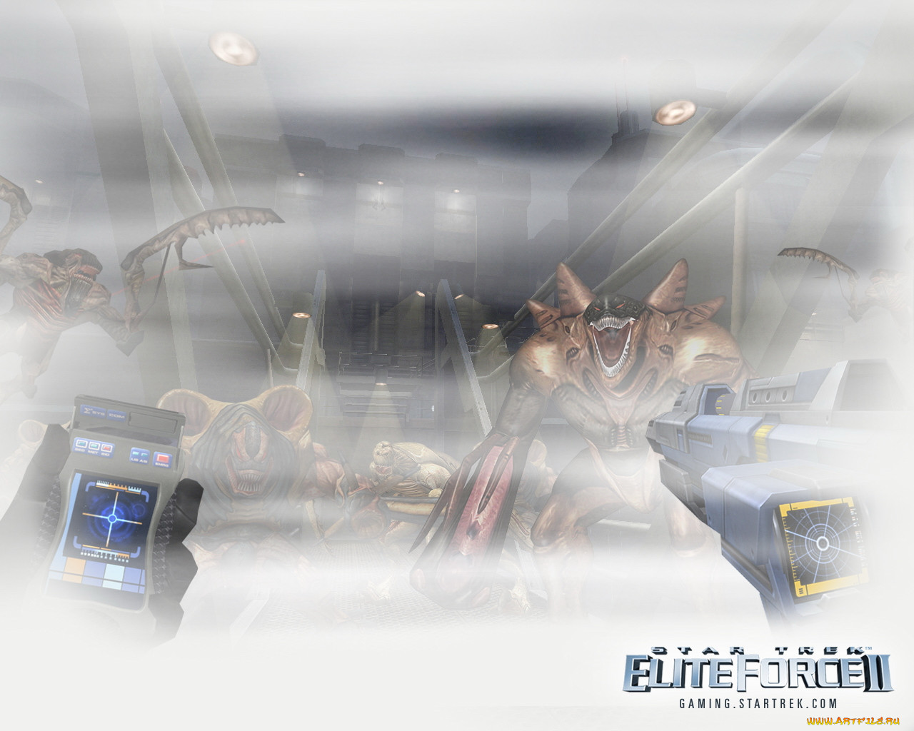 eliteforce, , , star, trek, elite, force, ii